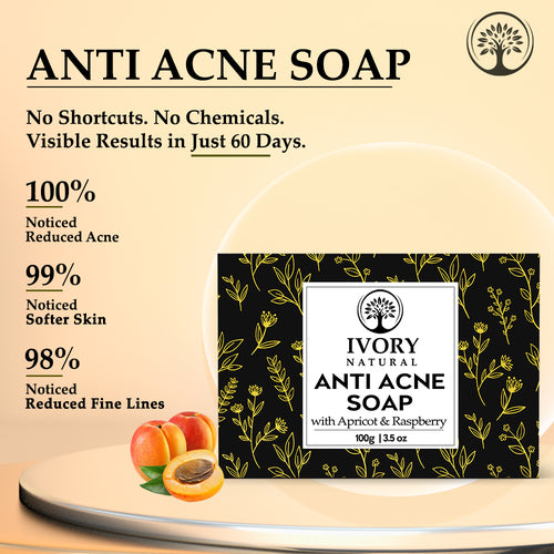 Buy Anti Acne Soap Organic for Acne Pimple Removal Fades Dark Spots